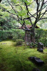 妙心寺塔頭桂春院の庭
