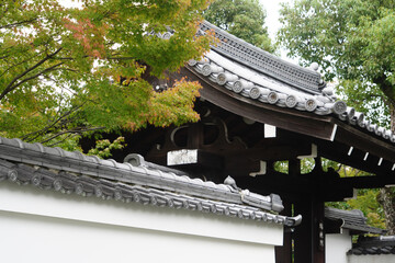 妙心寺界隈の風景