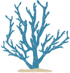 산호 산호초 바다