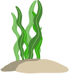 제물풀,해조류,해초,산호