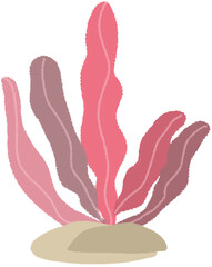 산호 산호초 해조류