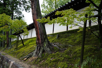 東福寺界隈の風景