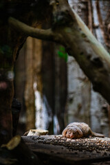 Una Giornata allo Zoo_7