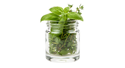 Fresh herbs in a glass jar, showcasing vibrant basil and thyme, set against a neutral background, ideal for culinary use