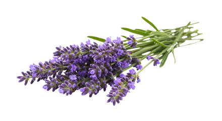 A vibrant bunch of lavender flowers arranged elegantly, showcasing their rich purple hues against a clean background