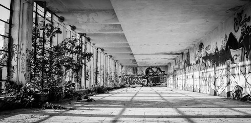 Il Rumore del Silenzio_9
