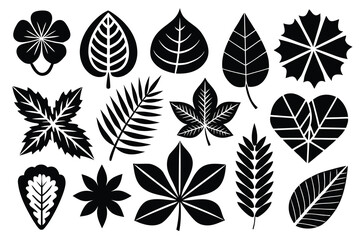 Fototapeta premium Leaf silhouettes, vector collection, diverse leaves shapes, nature elements. Ideal for eco friendly brand aesthetics, botanical illustrations, educational materials, artistic designs, decorations.
