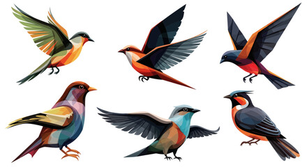 Obraz premium Vibrant Collection of Colorful Birds in Flight A Stunning Display of Avian Beauty and Artistic Illustration