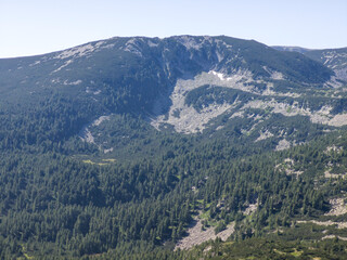 Obraz premium Summer landscape of Pirin Mountain near Popovo Lake, Bulgaria