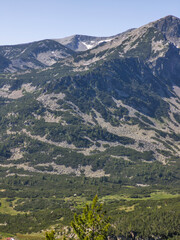 Fototapeta premium Summer landscape of Pirin Mountain near Popovo Lake, Bulgaria