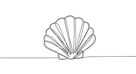 Line art shell illustration on white background