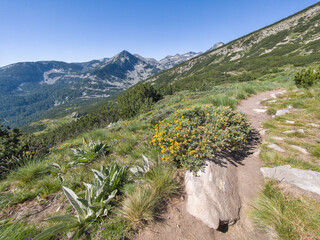 Summer landscape of Pirin Mountain near Popovo Lake, Bulgaria