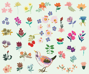 Set of Flowers & Florals Collection