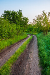 Empty dirt country road in the countryside with green grass and trees, clear blue sky and no one