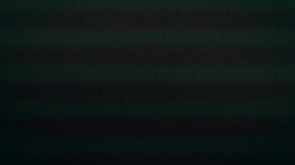 Mix of different Analog Static Noise texture overlay. VHS Glitch. Bad TV signal. CRT transitions. Horizontal stripes offset . - Powered by Adobe