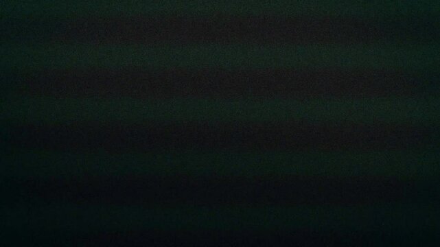 Mix of different Analog Static Noise texture overlay. VHS Glitch. Bad TV signal. CRT transitions. Horizontal stripes offset . - Powered by Adobe