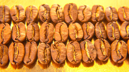 Roasted coffee beans arranged in neat rows on a golden reflective surface, showcasing their rich brown tones and natural splits. Perfect for coffee-themed designs.