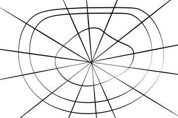 Obraz premium Realistic vector illustration of a spider web on a solid white background. The web is intricate and symmetrical.