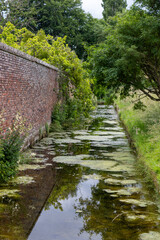 Ornamental style of moat with lily pads and water.