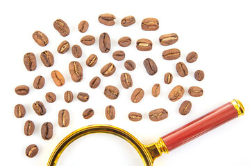 Top view of aromatic roasted coffee beans spread around a magnifying glass, emphasizing coffee appreciation, analysis, and sensory exploration.