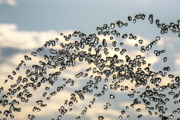 silhouettes of drops falling water fountain against the backdrop of the setting sun