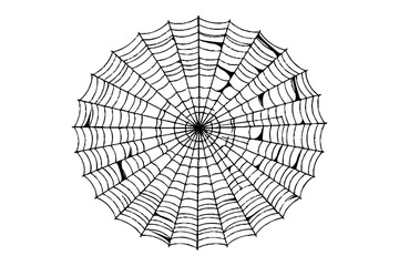 Realistic vector illustration of a spider web on a solid white background. The web is intricate and symmetrical.