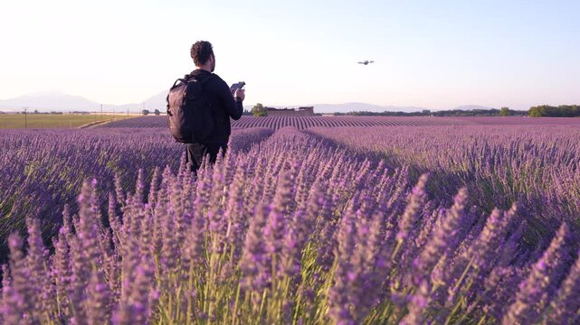 Man Flies Drone in Lavender Fields in Southern France Provence Region. Travel Photographer with Backpack Catches Drone