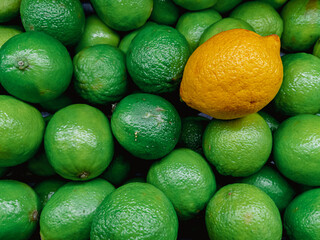 Unique Lemon in Group of Green Limes