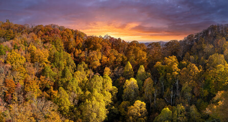 Autumn woods of Appalachian mountains at sunset with yellow and orange canopies in colorful forest. Landscape of wild nature in fall season