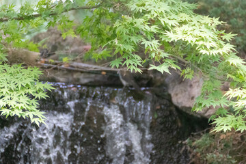 Cascada de agua