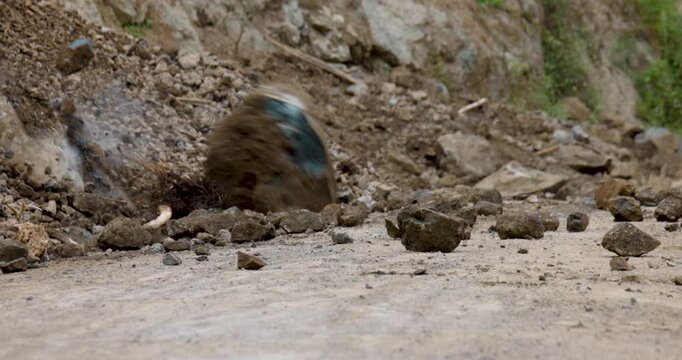 Massive Rock Falling from Mountain During Landslide &ndash; 4K Slow Motion