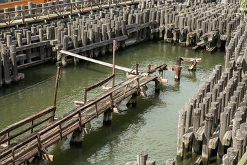 canal in venice