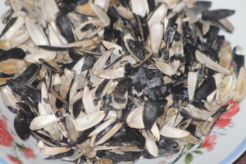 Sunflower Seed Shells Close Up