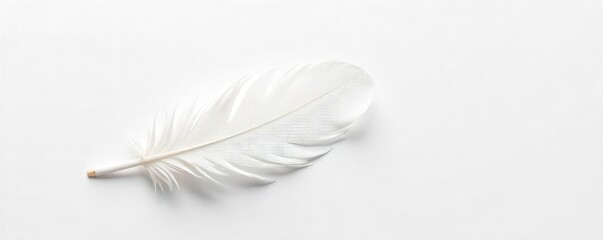 Obraz premium A single, delicate white feather rests on a pristine white background, symbolizing purity, peace, and hope Perfect for spiritual, minimalist, or wellness projects , comfort, innocence, gentle