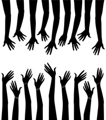 Collection of various black and white floral illustrations in rows and columns