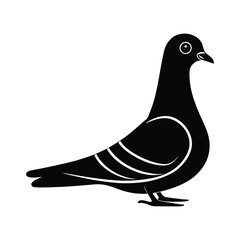 Elegant Black and White Pigeon Illustration A Simple Bird Silhouette Design.Pigeon Silhouette Vector Illustration. Black Design White Background