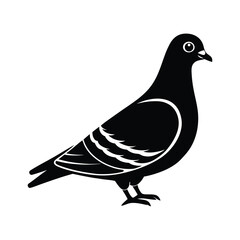 Elegant Black and White Pigeon Illustration A Simple, Stylish Bird Design.Pigeon Silhouette Vector Illustration. Black Design White Background