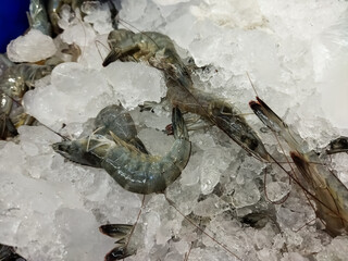 Fresh raw shrimp on ice for sale at market