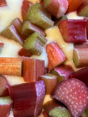 Fresh Rhubarb in Cake Batter, Rhubarb Cake