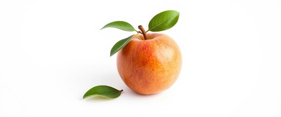 A single ripe quince, organic and fresh, isolated on pure white background,  food,  sweet
