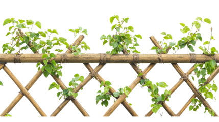Bamboo trellis for climbing plants, Transparent background, PNG file Prompter Creative