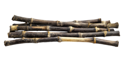 Bamboo stalk cluster, Transparent background, PNG file