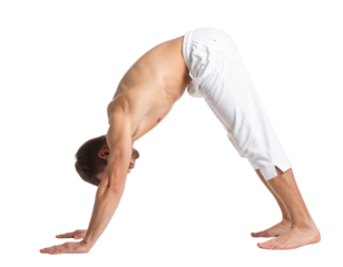 Man in Downward Dog Yoga Pose – Exercise Transparent Background PNG Figure