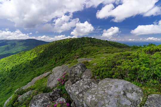 mountain landscape with clouds along the Appalachian Trail at Roan Mountain during the Rhododendron blooms in the summer