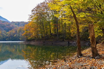 日本の風景・秋　世界遺産・白神山地　紅葉の十二湖　鶏頭場の池