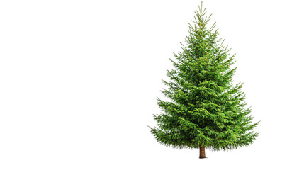 Obraz premium Fir tree with cone shape, Transparent background, PNG file