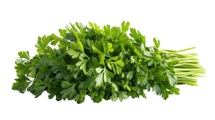 Obraz premium Fresh parsley bunch Transparent background, PNG file