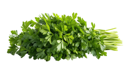 Fresh parsley bunch Transparent background, PNG file