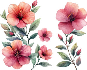 seamless pattern with pink flowers