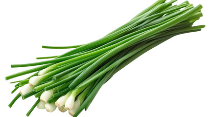 Fresh chive stalk Transparent background, PNG file